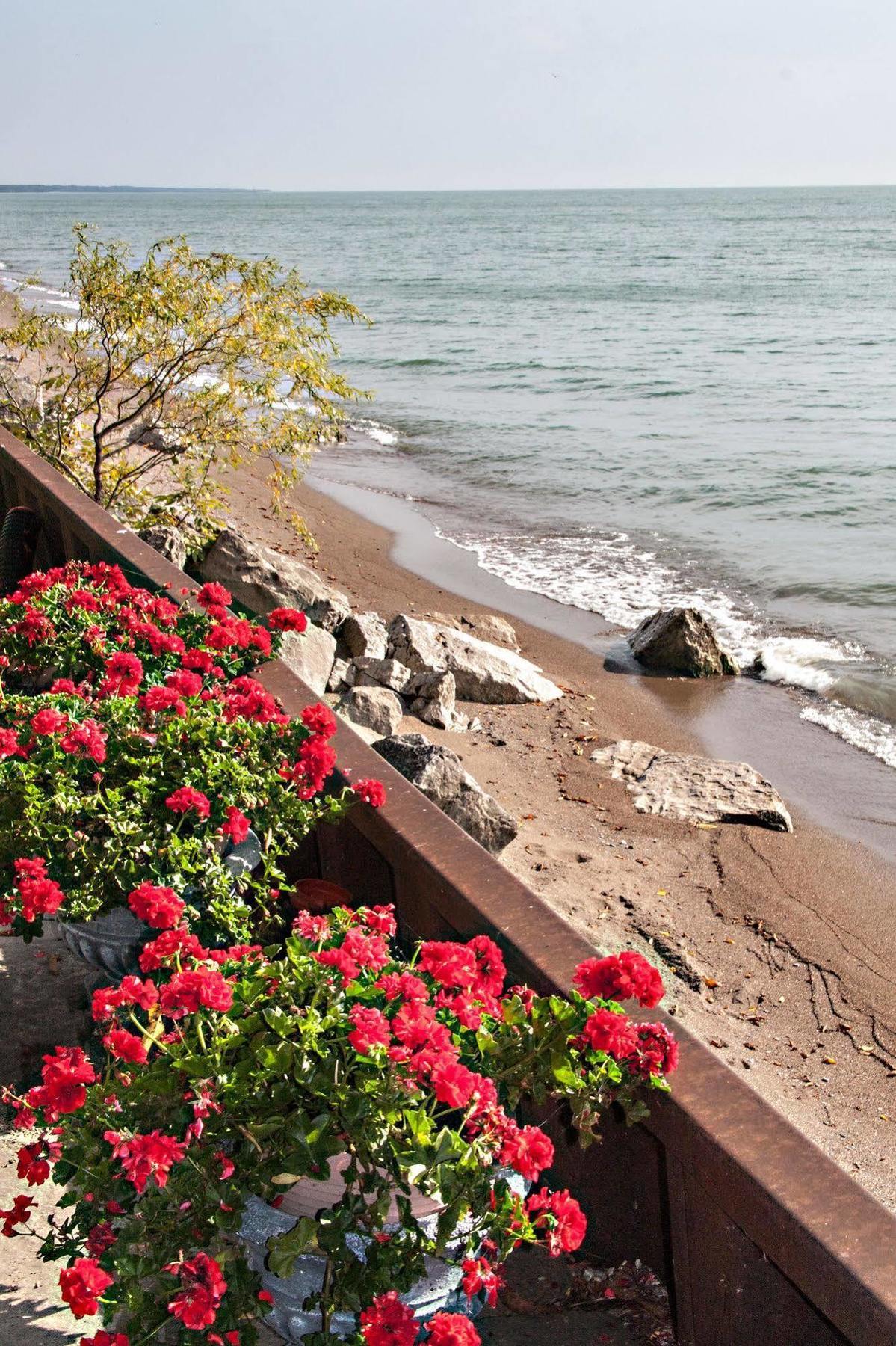 Point Pelee Lakeshore B&B Лімінґтон Екстер'єр фото